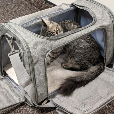Pet-Travel™ lentoyhtiöiden hyväksymä kissankuljetuslaukku