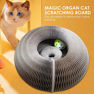 KittyRing™ Magic organ kissa raapimislauta
