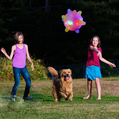 BouncyKid™ hyppivä aktivointipallo koirille ja kissoille | 1+1 Ilmaiseksi