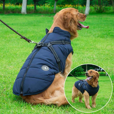 PupTrend™ DualShield koiran takki valjaiden kanssa
