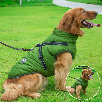 PupTrend™ DualShield koiran takki valjaiden kanssa